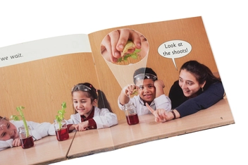 Паперова книга «Look at the shoots! Collins Big Cat Phonics for Letters and Sounds. Band 02b/Red B», автор Клер Велш - фото №5 - мініатюра