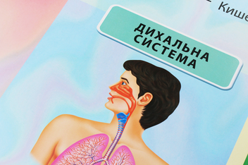 Паперова книга «Будова тіла людини. Плакат» - фото №4 - мініатюра