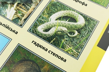 Паперова книга «Червона книга України. Тварини. Плакат» - фото №4 - мініатюра