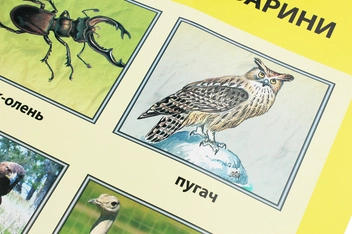 Паперова книга «Червона книга України. Тварини. Плакат» - фото №5 - мініатюра