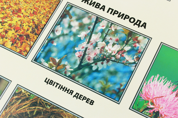 Паперова книга «Явища природи. Плакат» - фото №4 - мініатюра
