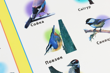 Паперова книга «Перелітні та зимуючі птахи. Плакат» - фото №3 - мініатюра