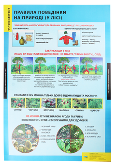 Бумажная книга «Правила поведінки на природі (у лісі). Плакат» - фото №2 - миниатюра