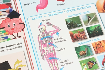 Бумажная книга «НУШ. Я досліджую світ. 3 клас. Комплект навчальних плакатiв», автор Ольга Таглина - фото №6 - миниатюра