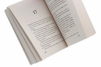 Паперова книга «Mockingjay», автор Сюзанна Коллінз - фото №6 - мініатюра