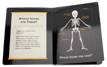 Бумажная книга «Whose Bones? An Animal Guessing Game», автор Габриэль Балкан - фото №5 - миниатюра
