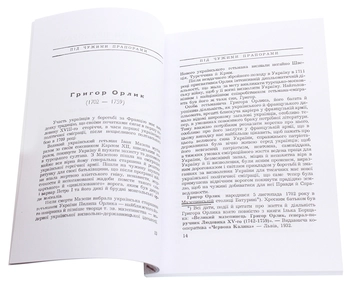 Паперова книга «Під чужими прапорами», автор Мирослав Небелюк - фото №4 - мініатюра