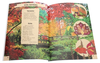 Бумажная книга «Подарунок молодшому школяру. 1-4 класи. Випуск 1», автор Яна Батий - фото №3 - миниатюра