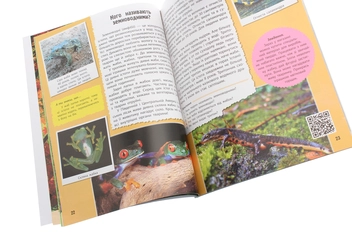 Бумажная книга «Подарунок молодшому школяру. 1-4 класи. Випуск 1», автор Яна Батий - фото №4 - миниатюра