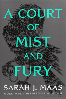 Паперова книга «A Court of Mist and Fury», автор Сара Дж. Маас - фото №1 - мініатюра