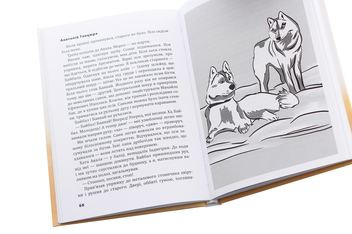 Бумажная книга «Земля з-під рукава», автор Анатолий Танцюра - фото №4 - миниатюра