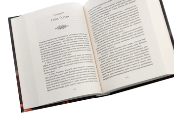 Бумажная книга «Машина», автор Дарья Пискозуб - фото №5 - миниатюра