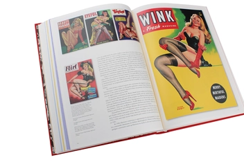 Бумажная книга «The Art of Pin-up», авторов Сараджейн Блум, Луиз Мейсел, Дайан Хэнсон - фото №11 - миниатюра