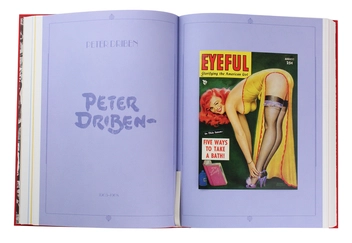 Бумажная книга «The Art of Pin-up», авторов Сараджейн Блум, Луиз Мейсел, Дайан Хэнсон - фото №12 - миниатюра