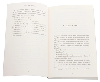 Бумажная книга «The Van Apfel Girls Are Gone», автор Фелисити Маклин - фото №5 - миниатюра