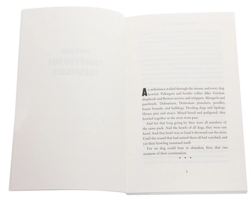 Паперова книга «The Invention of Sound», автор Чак Поланік - фото №4 - мініатюра