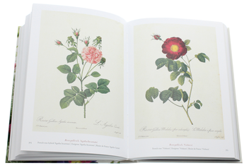Бумажная книга «Redoute. Book of Flowers», автор Х. Уолтер Лэк - фото №6 - миниатюра