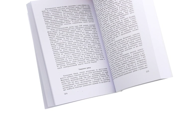 Паперова книга «Україна в боротьбі за державність в 1917-1921 роках. Спомини і роздуми», автор Михайло Шкільник - фото №5 - мініатюра