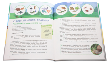 Паперова книга «Я досліджую світ. Підручник. 3 клас. Частина 2», авторів Оксана Кліщ, Олена Іщенко, Людмила Романенко, Катерина Романенко, Олена Ващенко, Лілія Козак - фото №4 - мініатюра