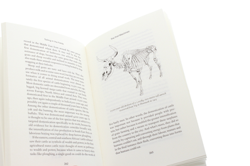 Бумажная книга «Work. A History of How We Spend Our Time», автор Джеймс Сазмэн - фото №6 - миниатюра