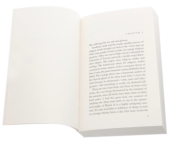 Паперова книга «Life Of Pi», автор Янн Мартел - фото №4 - мініатюра