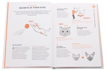 Паперова книга «What Cats Want. An Illustrated Guide for Truly Understanding Your Cat», автор Юкі Хатторі - фото №4 - мініатюра