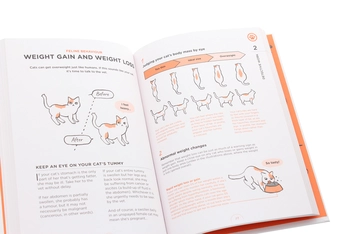 Паперова книга «What Cats Want. An Illustrated Guide for Truly Understanding Your Cat», автор Юкі Хатторі - фото №5 - мініатюра