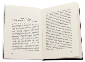 Бумажная книга «Галицько-Волинська держава», автор Антин Лотоцкий - фото №4 - миниатюра