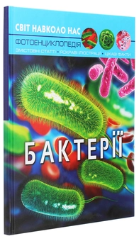 Паперова книга «Світ навколо нас. Бактерії», автор Аліна Котка - фото №3 - мініатюра
