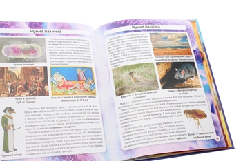 Паперова книга «Світ навколо нас. Бактерії», автор Аліна Котка - фото №5 - мініатюра