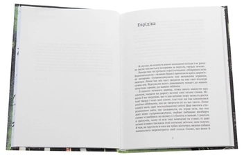 Паперова книга «Мансарда», автор Данило Кіш - фото №4 - мініатюра