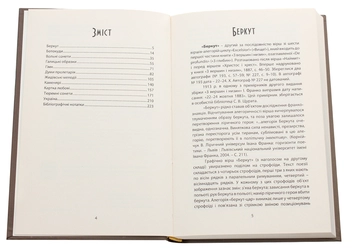 Паперова книга «Іван Франко. Вершини і низини. Інтерпретації вибраних віршів, циклів і поем зі збірки «З вершин і низин»», автор Віктор Неборак - фото №4 - мініатюра