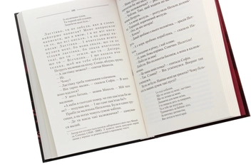 Паперова книга «Спів Божої пташки», автор Василь Шкляр - фото №5 - мініатюра