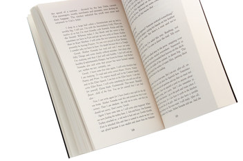 Бумажная книга «The Witcher. Blood of Elves», автор Анджей Сапковский - фото №5 - миниатюра