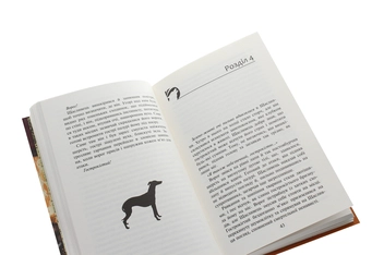 Паперова книга «Зграя. Книга 1. Спорожніле місто», автор Ерін Гантер - фото №5 - мініатюра