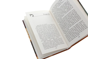 Паперова книга «Зграя. Книга 1. Спорожніле місто», автор Ерін Гантер - фото №6 - мініатюра