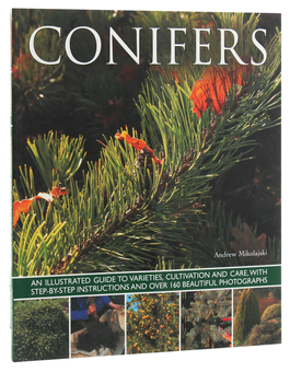 Бумажная книга «Conifers», автор Эндрю Миколайски - фото №3 - миниатюра