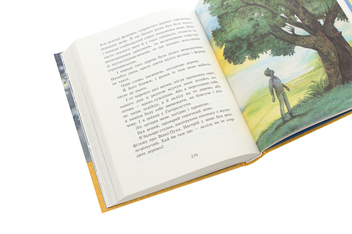 Бумажная книга «Улюблена книга дитинства. Неймовірні детективи. Частина 2», автор Всеволод Нестайко - фото №6 - миниатюра