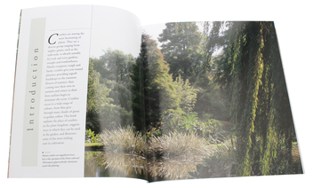 Бумажная книга «Conifers», автор Эндрю Миколайски - фото №4 - миниатюра