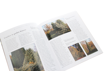 Бумажная книга «Conifers», автор Эндрю Миколайски - фото №5 - миниатюра