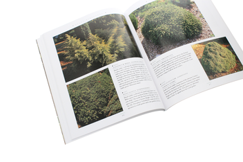 Бумажная книга «Conifers», автор Эндрю Миколайски - фото №6 - миниатюра