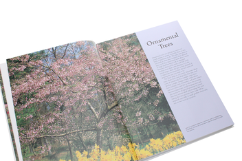 Бумажная книга «Practical Guide to Pruning, Training and Topiary. How to Prune and Train Trees, Shrubs, Hedges, Topiary, Tree and Soft Fruit, Climbers and Roses», автор Ричард Берд - фото №6 - миниатюра