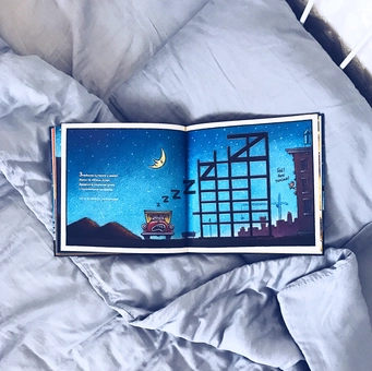 Паперова книга «Спи міцно, моє будівництво», автор Шеррі Даскі Рінкер - фото №9 - мініатюра