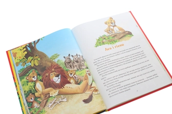 Бумажная книга «Коротенькі історії про тварин з усього світу», автор Пьеранджела Фьерани - фото №5 - миниатюра