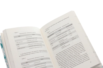 Паперова книга «Круз та Лис. Напередодні», автор Антон Санченко - фото №5 - мініатюра
