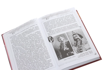 Бумажная книга «Велич і трагедія Михайла Донця», автор Николай Кагарлицкий - фото №5 - миниатюра