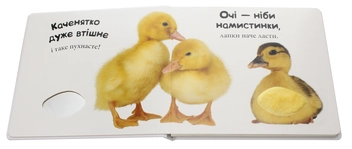 Паперова книга «Ферма» - фото №4 - мініатюра