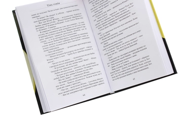 Бумажная книга «Тінь генія», автор Олег Черногуз - фото №5 - миниатюра