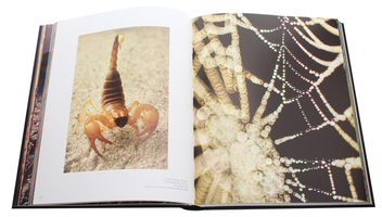 Паперова книга «Frans Lanting. LIFE. A Journey Through Time» - фото №5 - мініатюра