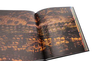 Паперова книга «Frans Lanting. LIFE. A Journey Through Time» - фото №8 - мініатюра